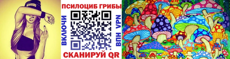 Галлюциногенные грибы ЛСД  сколько стоит  Черкесск 