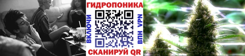 дарнет шоп  Черкесск  Канабис MAZAR 